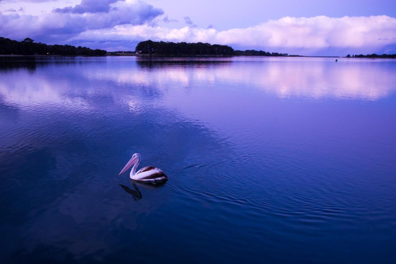 The Seabird Hotell Moruya Exteriör bild